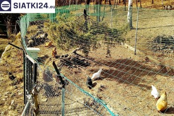 Siatki Sulęcin - Siatka na woliery - zabezpieczenia ptaków w hodowli dla terenów Sulęcina
